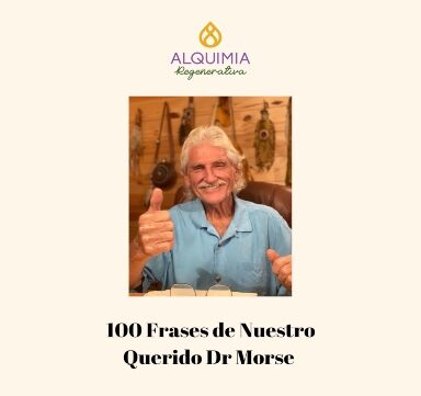 100 Frases de Dr Morse