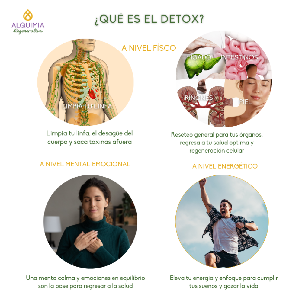 9/1 DETOX RESET Grupal 21 Días - Imagen 2