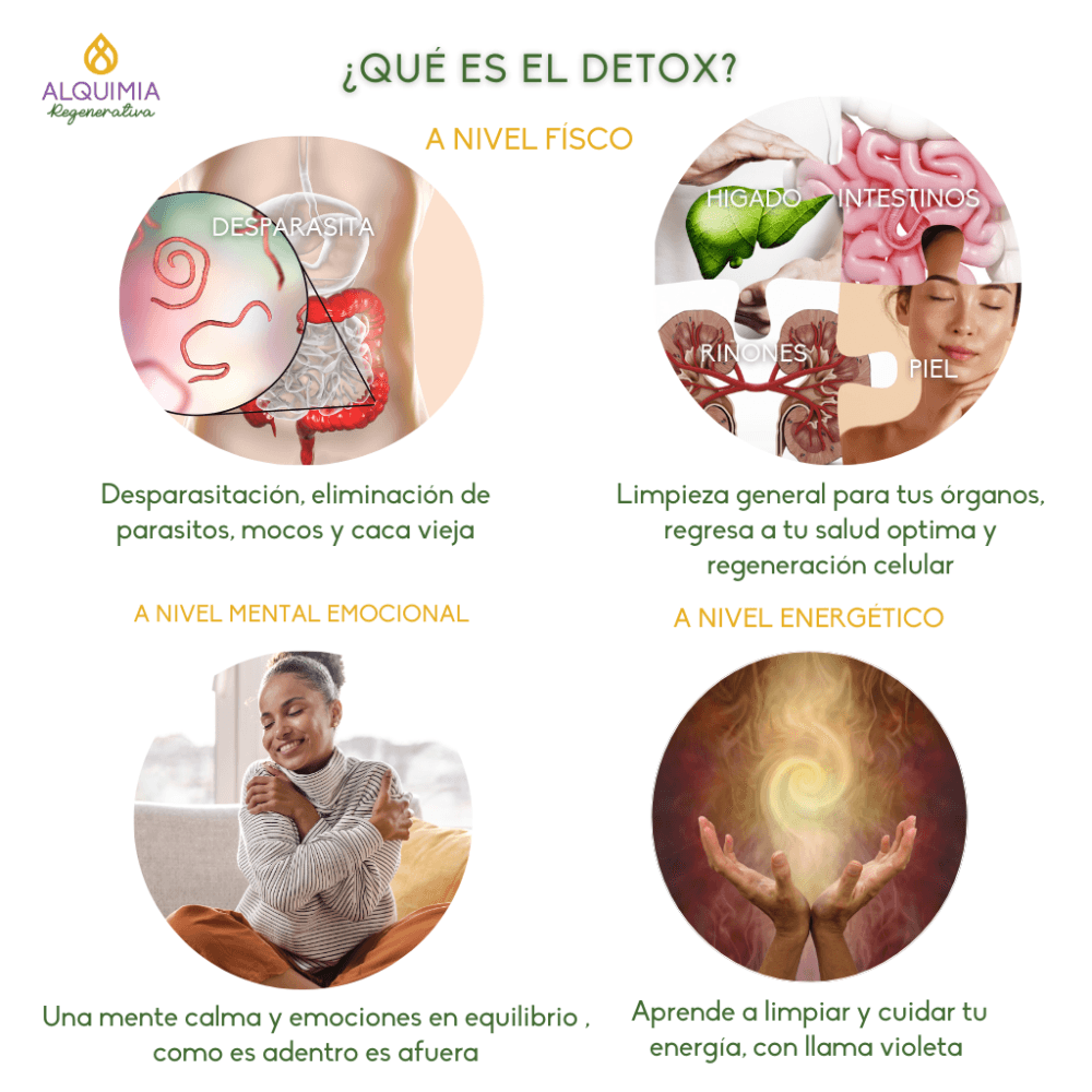 13/3 Detox Grupal 21 días: DESPARASITACIÓN Física y Energética - Imagen 7