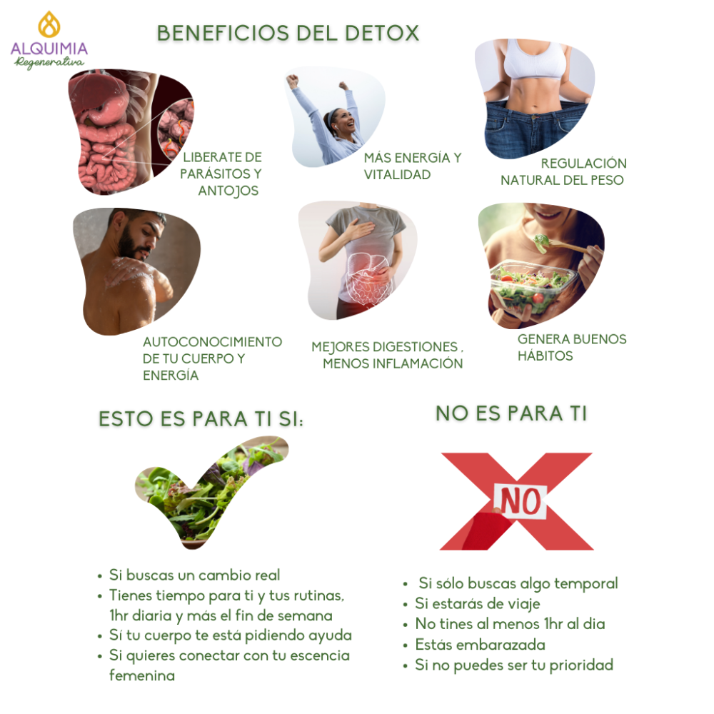 9/1 DETOX RESET Grupal 21 Días - Imagen 5