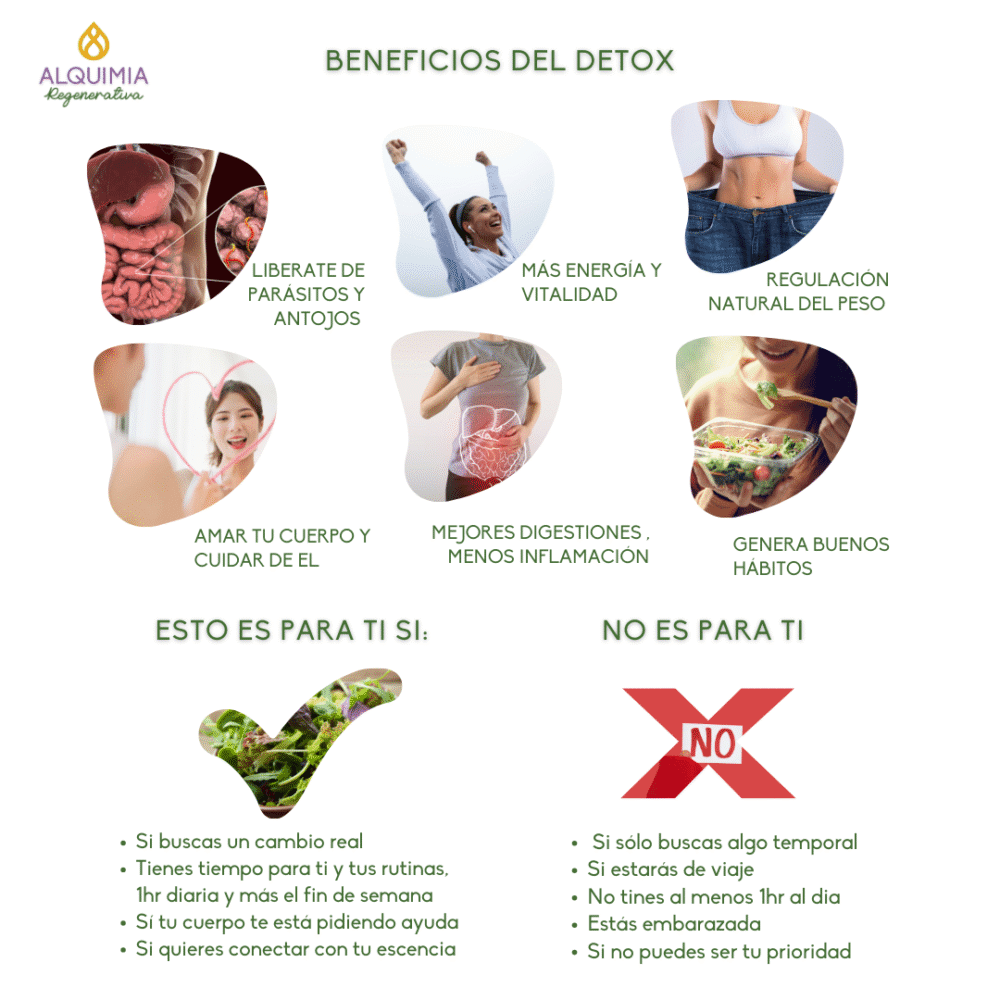 05/6 Detox Grupal 21 días: AUTOSANACIÓN - Imagen 6
