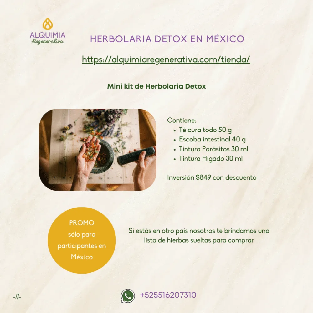 05/7 Detox Grupal 7 Días Desparasitación y Limpieza Hepática - Imagen 11