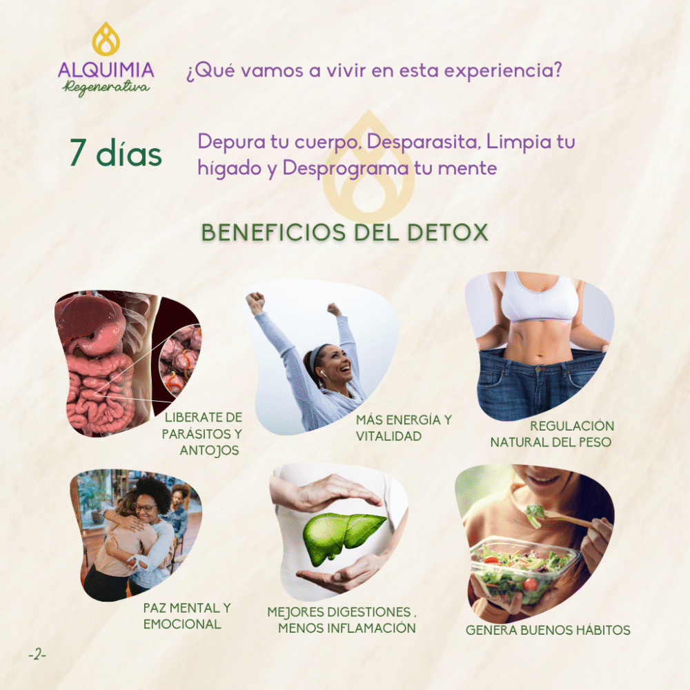 05/7 Detox Grupal 7 Días Desparasitación y Limpieza Hepática - Imagen 2
