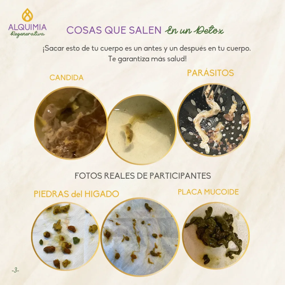 05/7 Detox Grupal 7 Días Desparasitación y Limpieza Hepática - Imagen 3