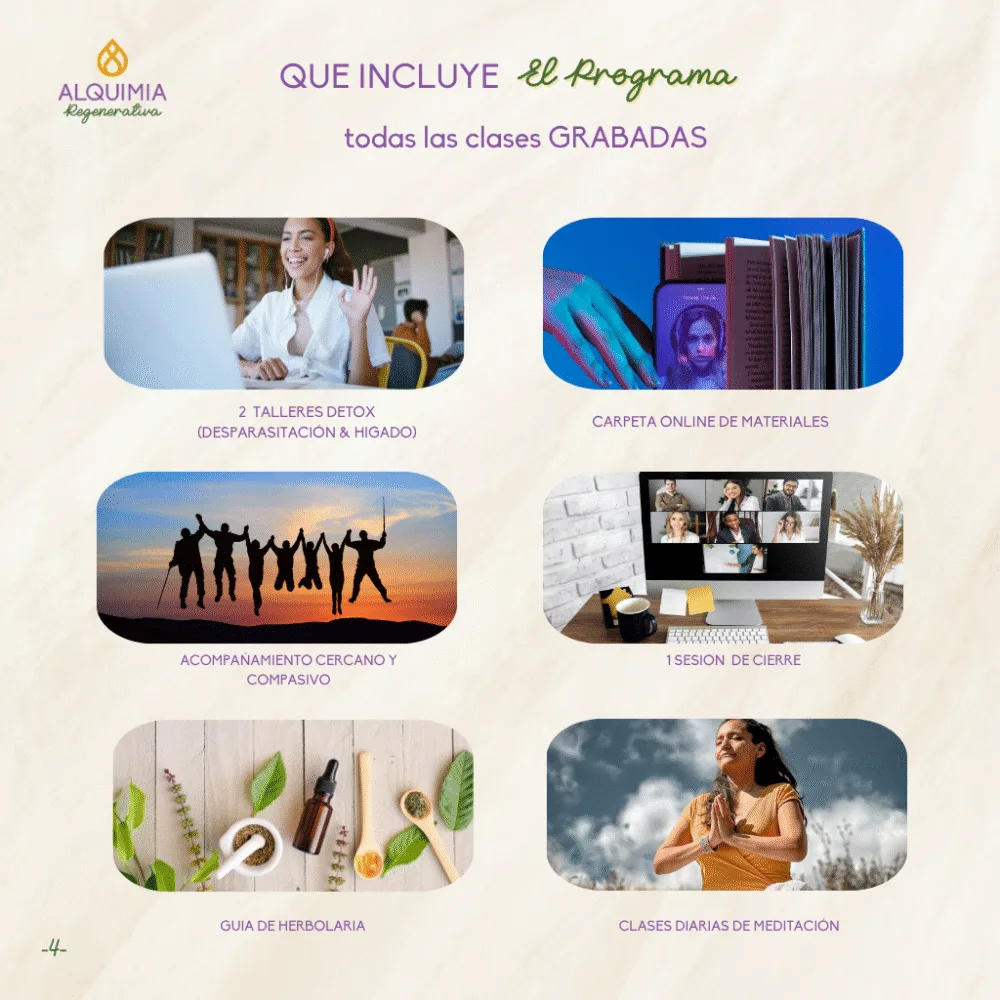 05/7 Detox Grupal 7 Días Desparasitación y Limpieza Hepática - Imagen 4