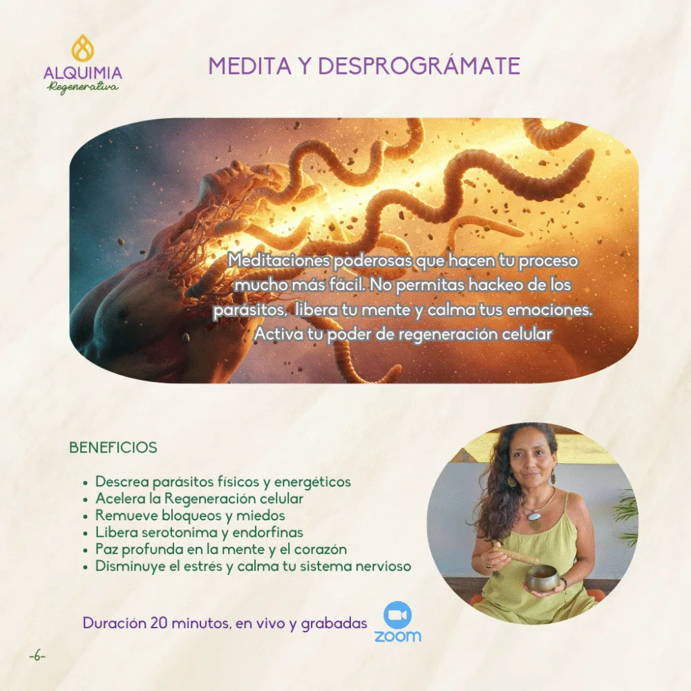 05/7 Detox Grupal 7 Días Desparasitación y Limpieza Hepática - Imagen 6