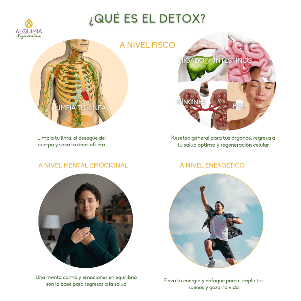 24/7 Detox Reset 21 días - Imagen 2