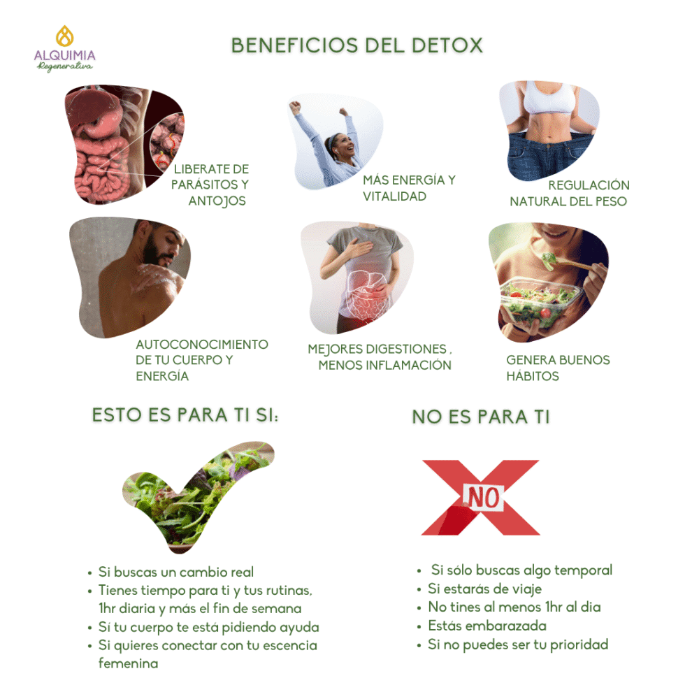 24/7 Detox Reset 21 días - Imagen 3