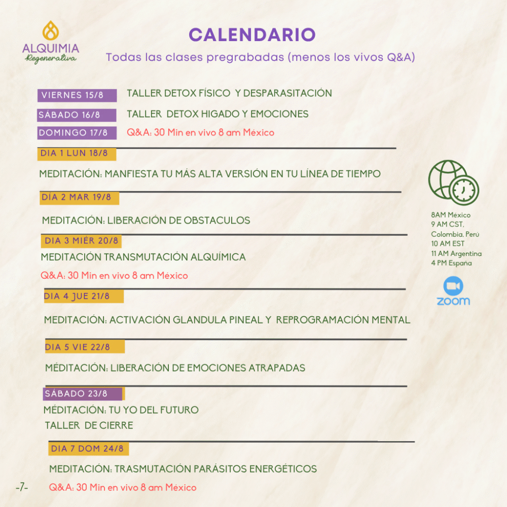 15/8 Detox Grupal 7 Días Desparasitación y Limpieza Hepática - Imagen 7