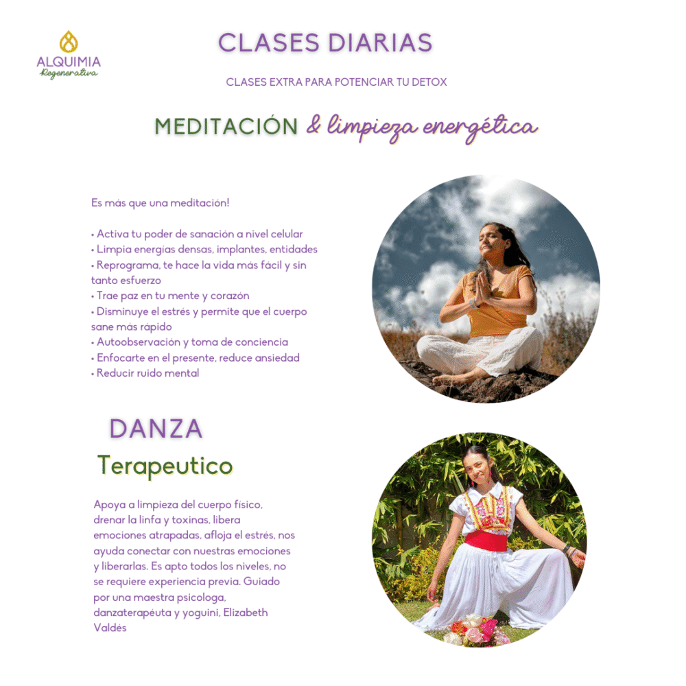 04/9 Detox Grupal Desparasitación Física y Energética 21 días - Imagen 8