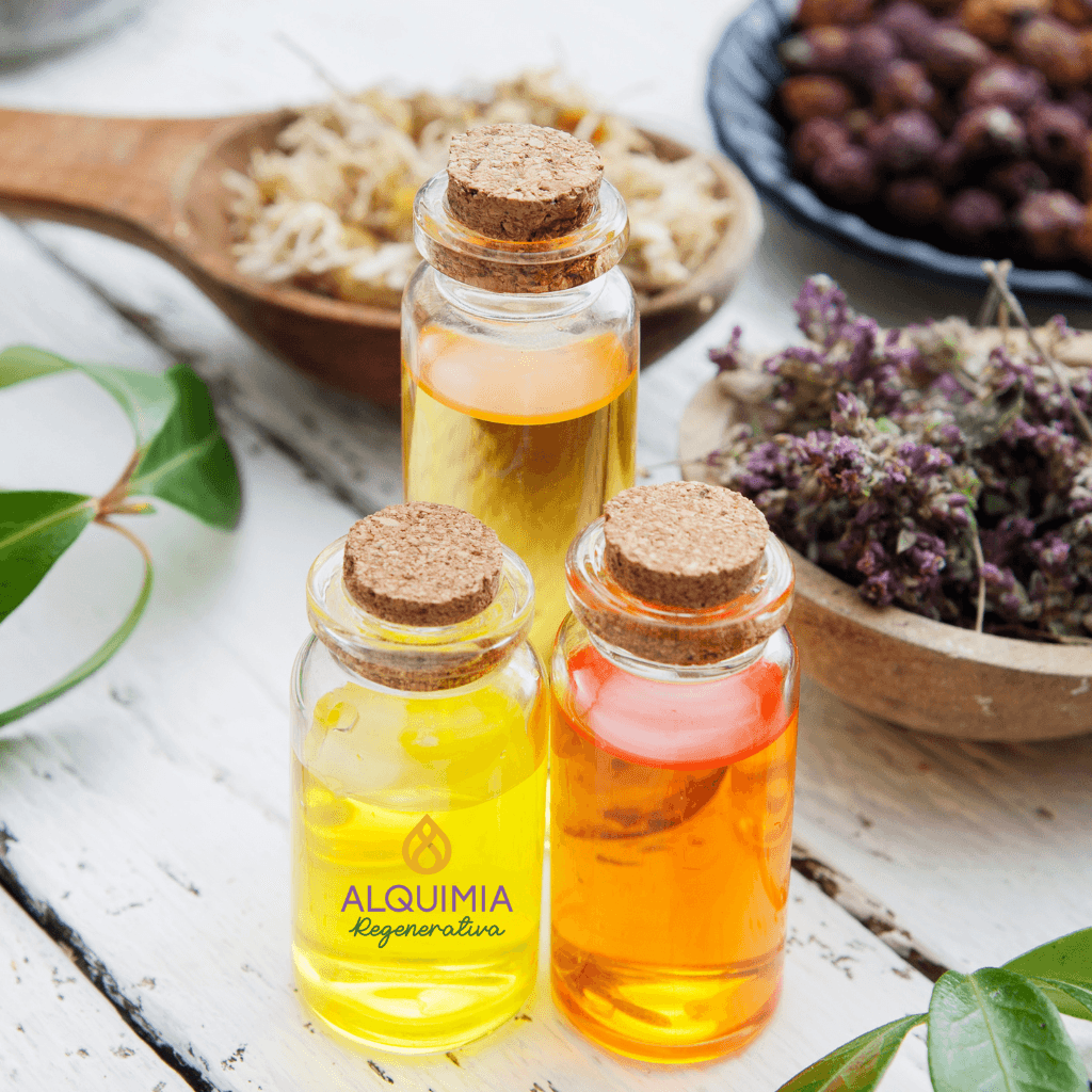 KIT CANDIDA Y PARÁSITOS + Regalo Paquete Masterclass