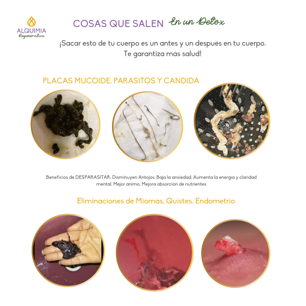 6/11 Detox 21 días: MUJER CÍCLICA - Imagen 7