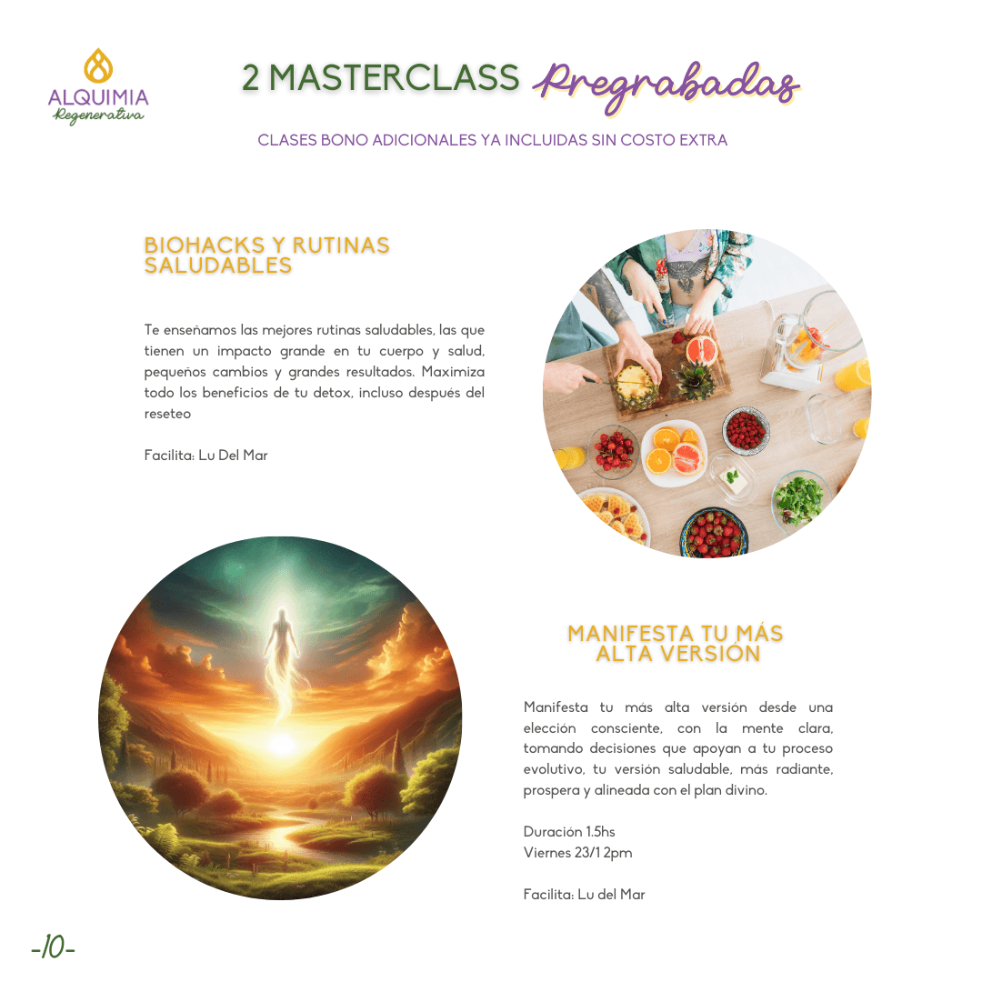 07/1 Detox Grupal Reset - Imagen 10