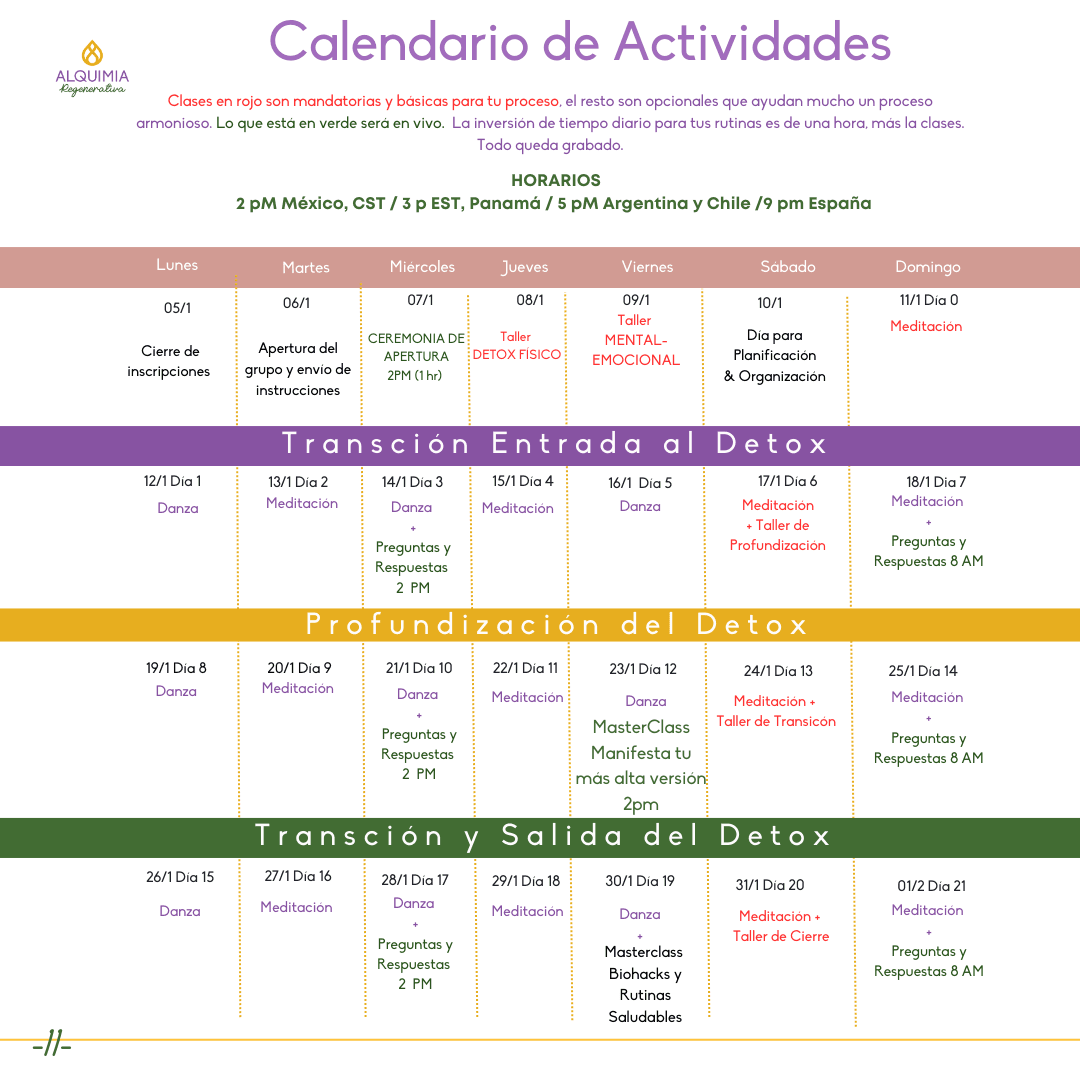 07/1 Detox Grupal Reset - Imagen 11