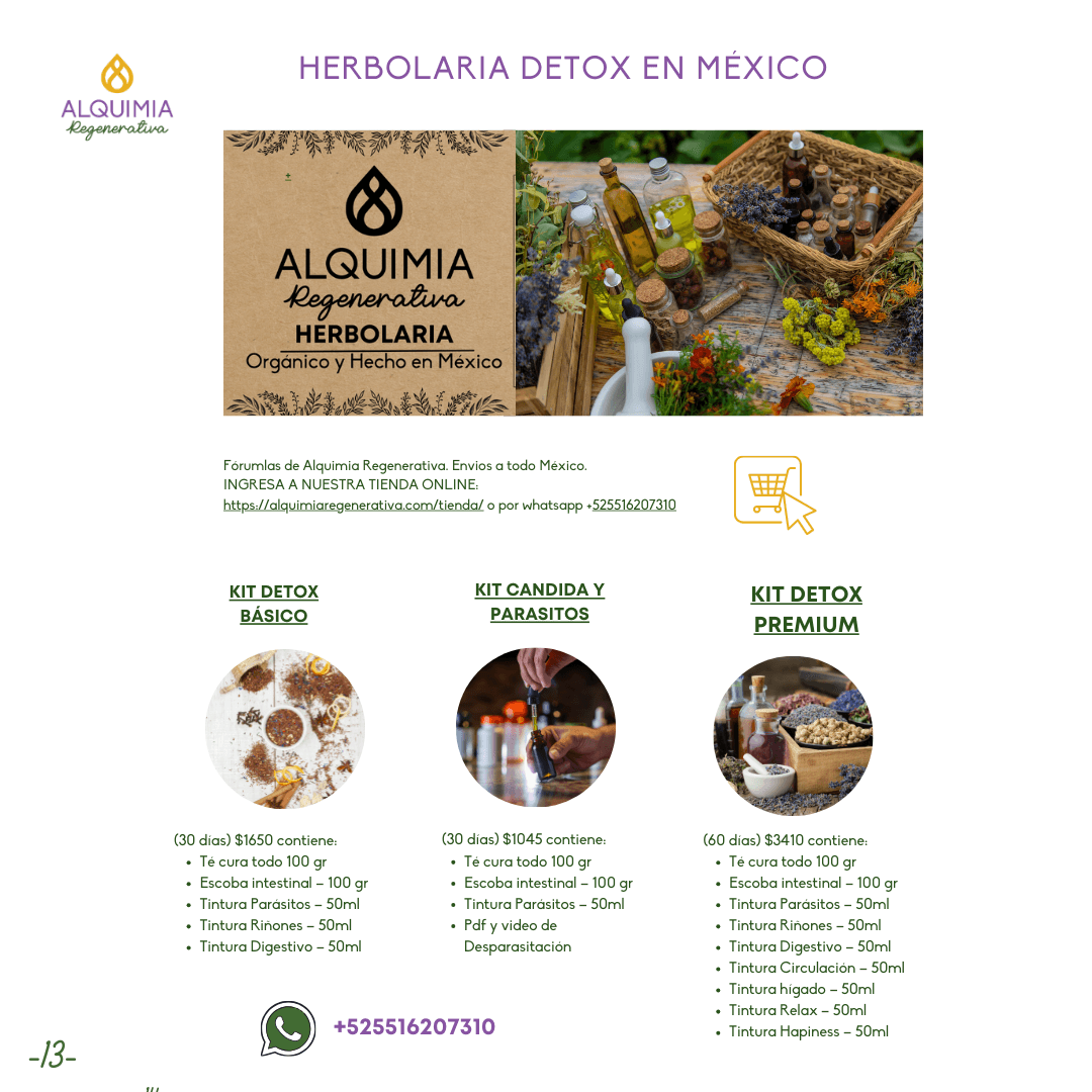 07/1 Detox Grupal Reset - Imagen 13