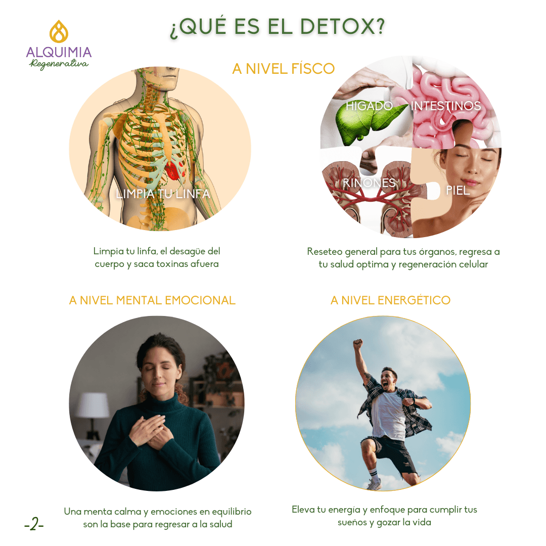 07/1 Detox Grupal Reset - Imagen 2