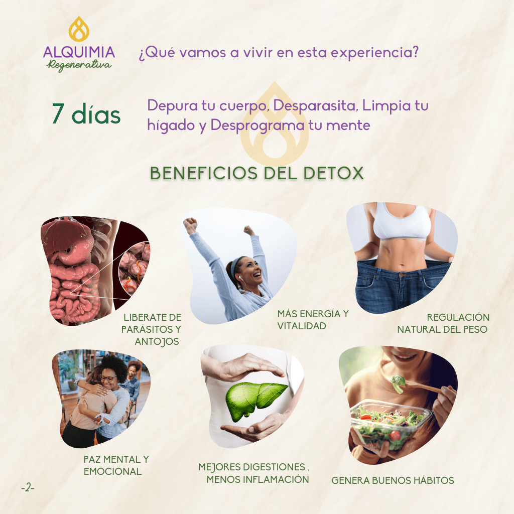 11/2 Detox Grupal 7 Días Desparasitación y Limpieza Hepática - Image 2