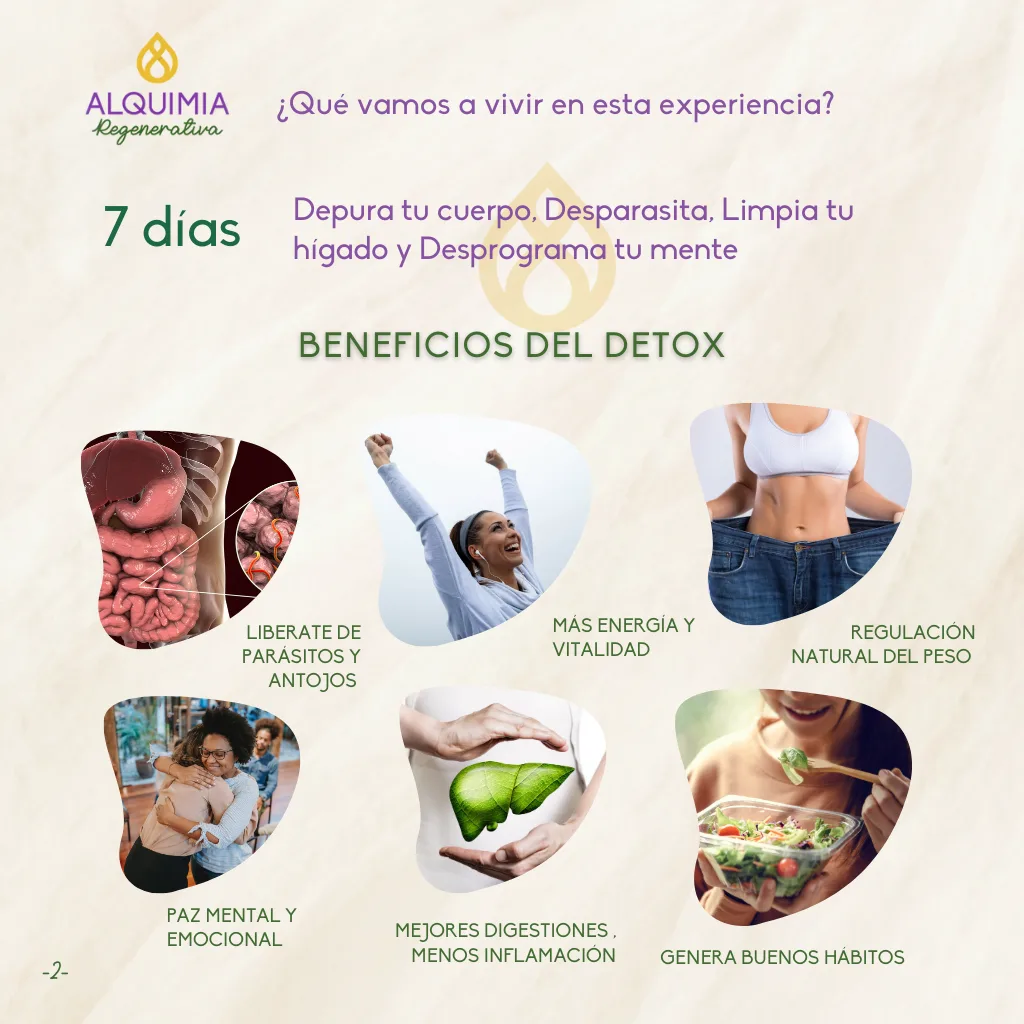 11/2 Detox Grupal 7 Días Desparasitación y Limpieza Hepática - Imagen 2