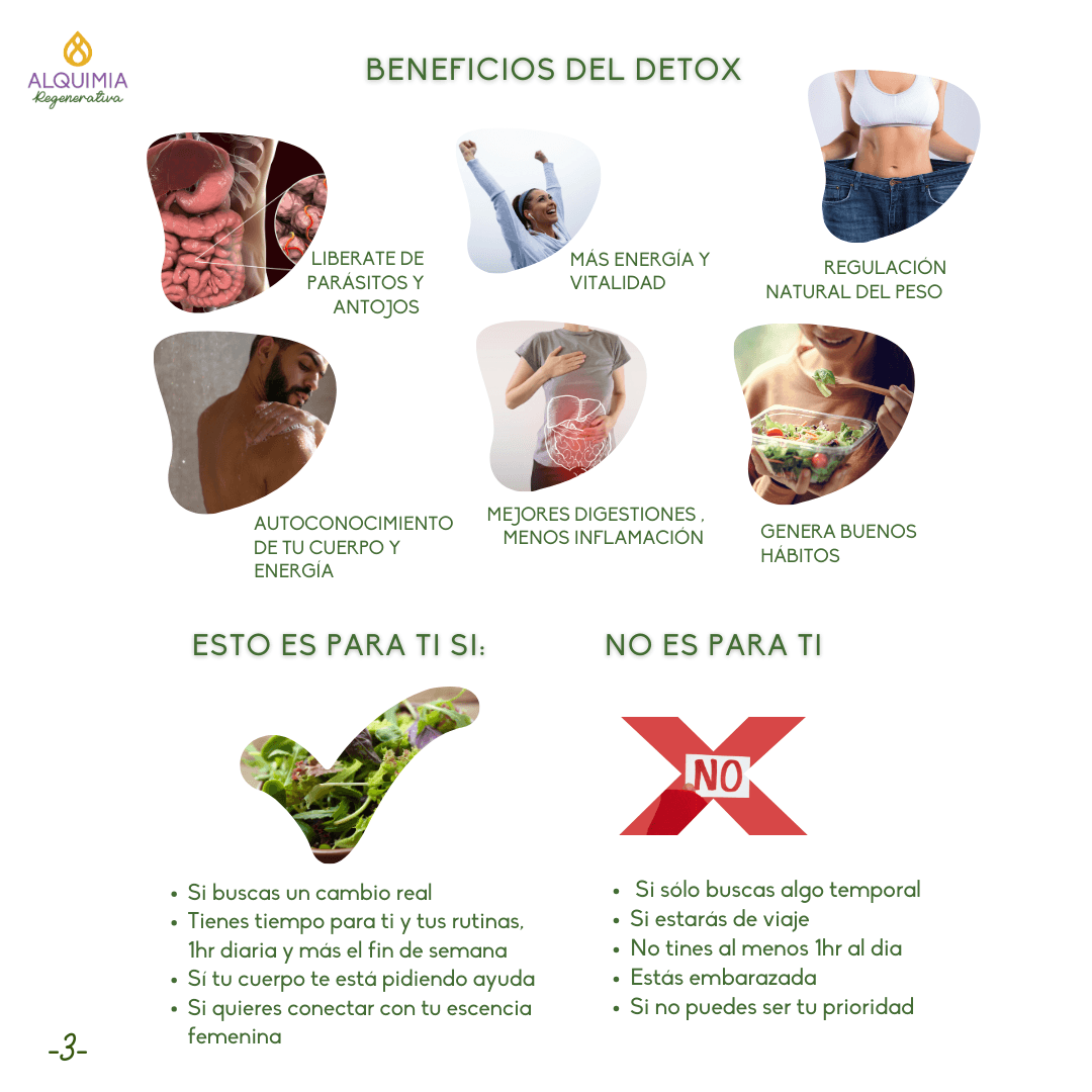 07/1 Detox Grupal Reset - Imagen 3