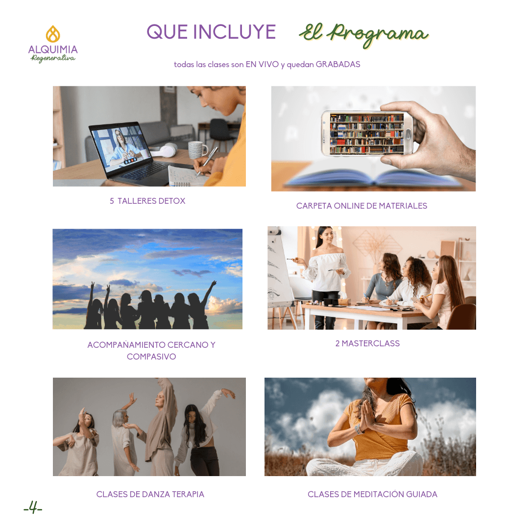 07/1 Detox Grupal Reset - Imagen 4