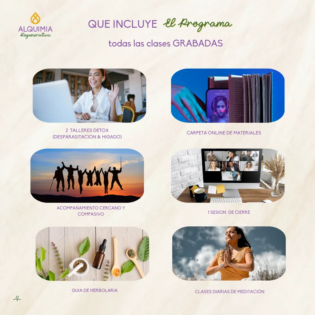 11/2 Detox Grupal 7 Días Desparasitación y Limpieza Hepática - Imagen 4