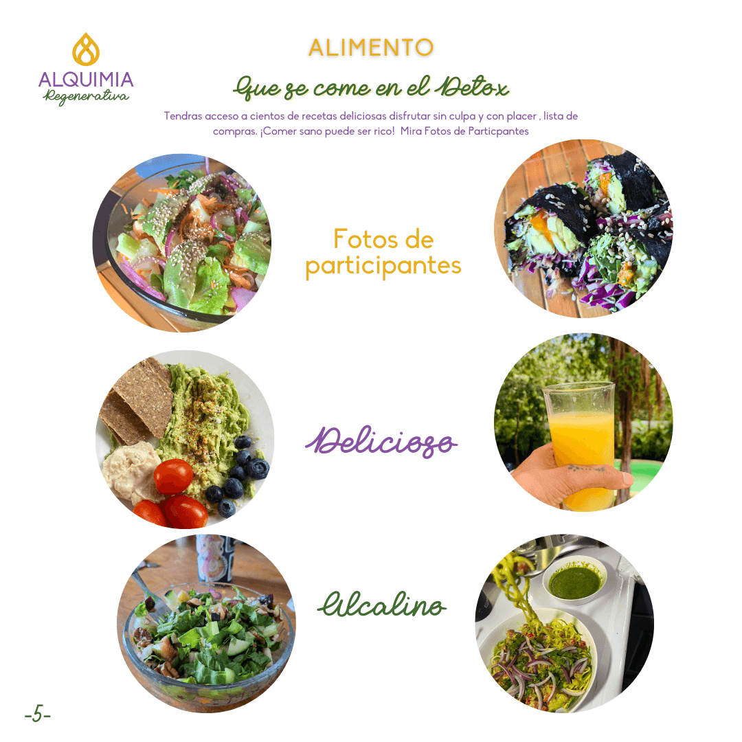 07/1 Detox Grupal Reset - Imagen 5