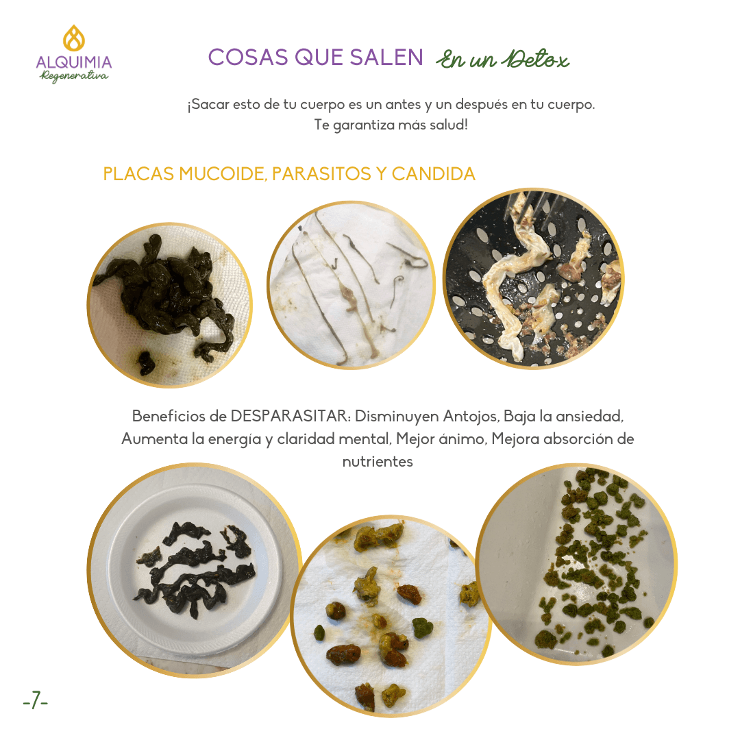 07/1 Detox Grupal Reset - Imagen 7