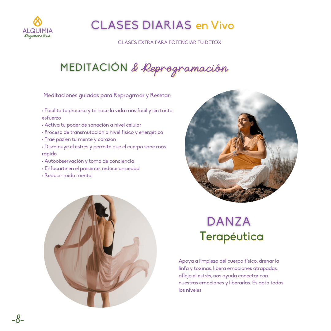 07/1 Detox Grupal Reset - Imagen 8