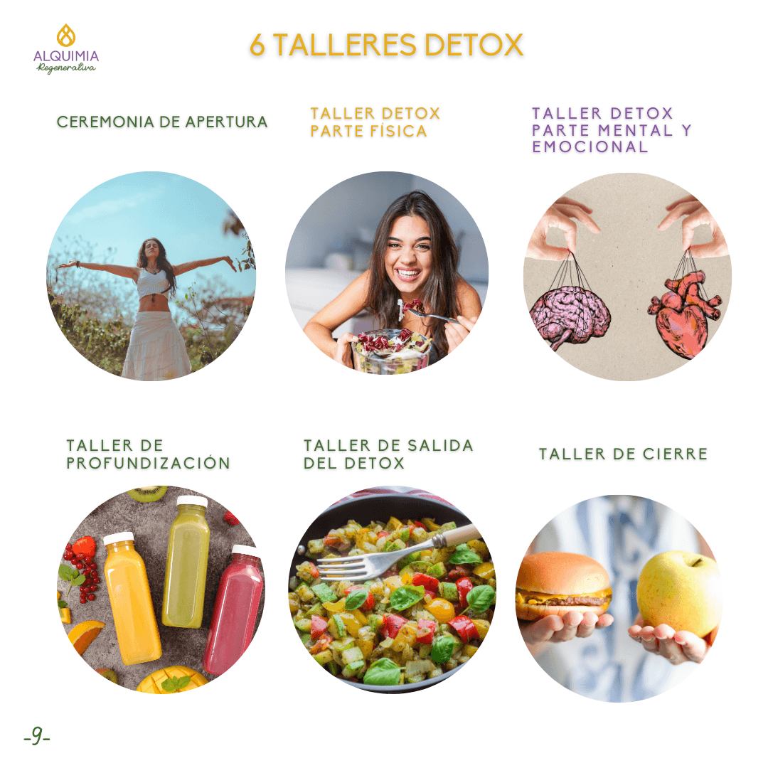 07/1 Detox Grupal Reset - Imagen 9