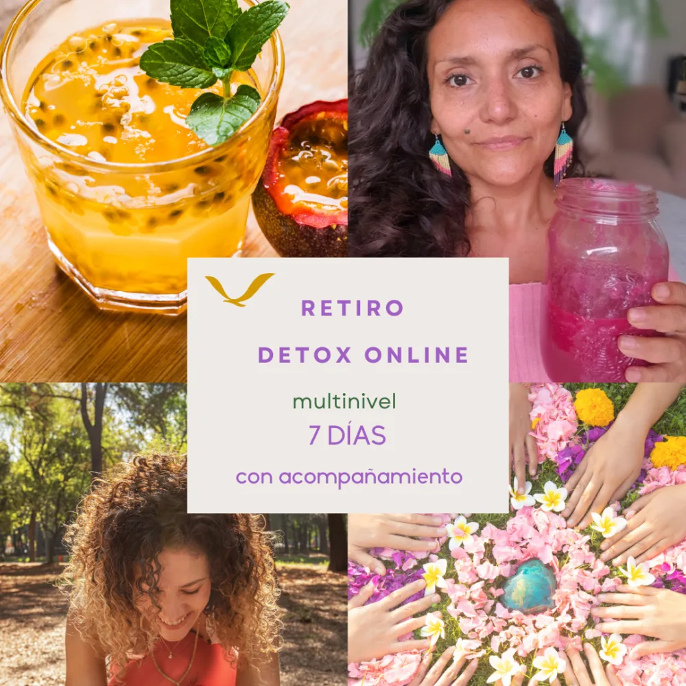 Retiro Online Detox Multinivel 7 Días con Acompañamiento