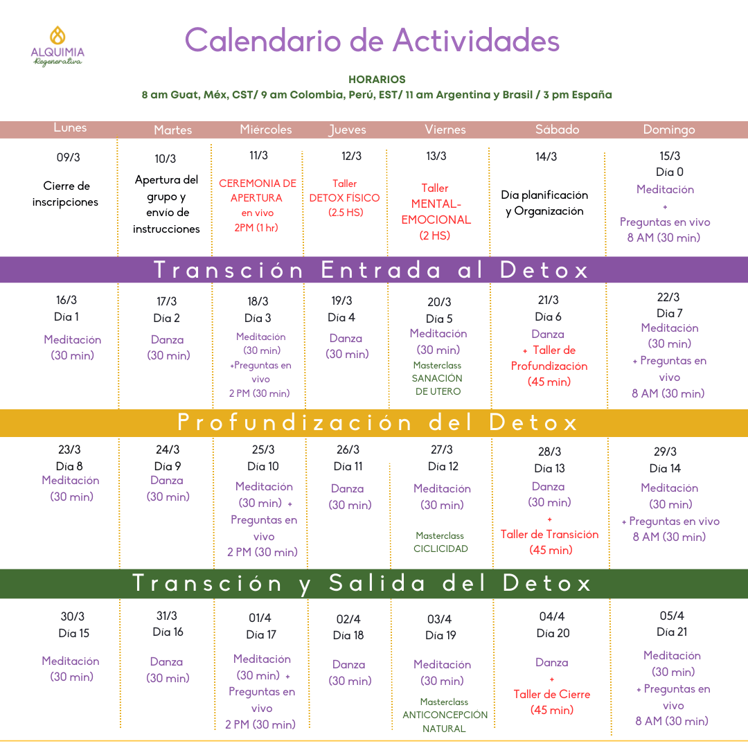 🌺 11/3 Detox 21 días: MUJER CÍCLICA - Image 11
