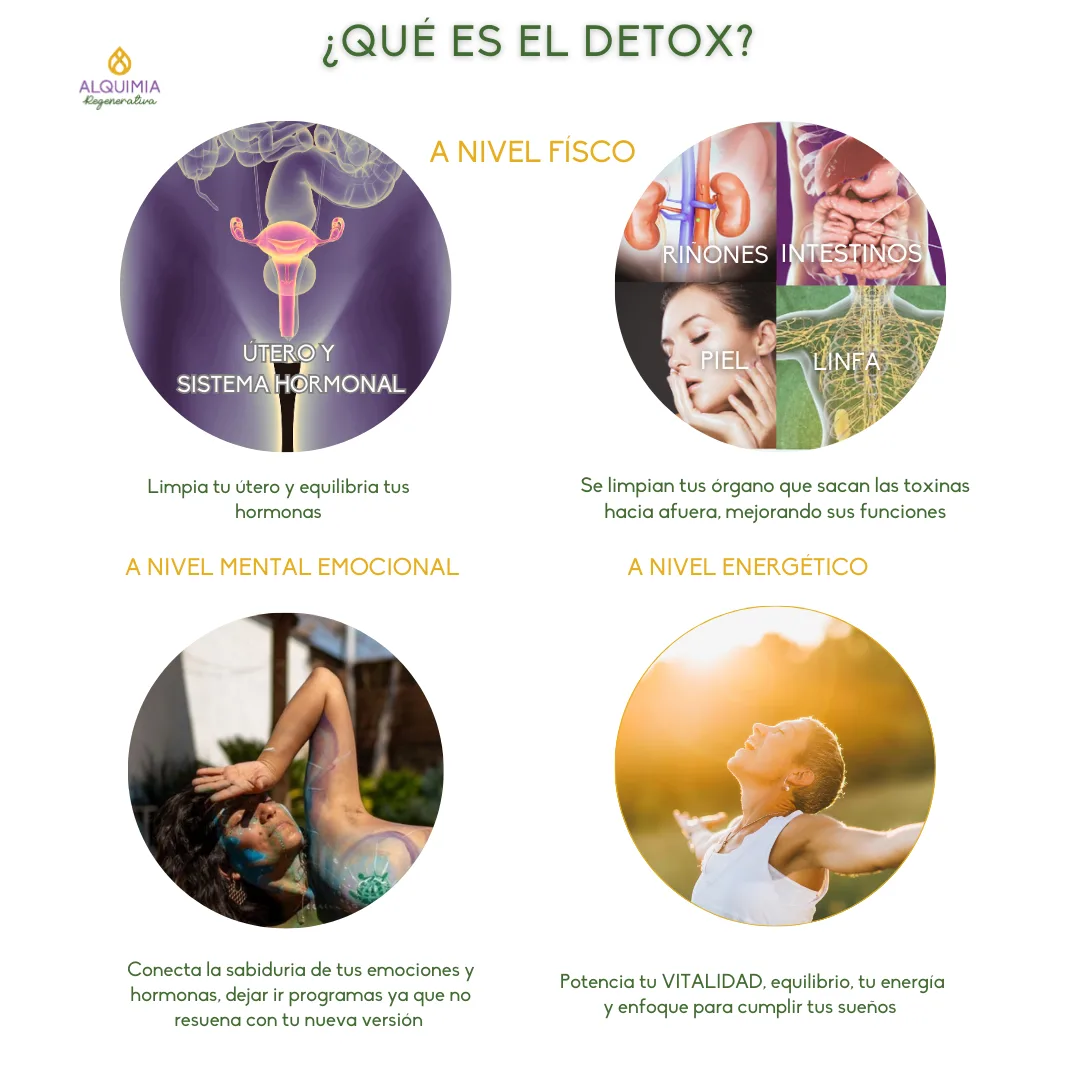 🌺 11/3 Detox 21 días: MUJER CÍCLICA - Imagen 2