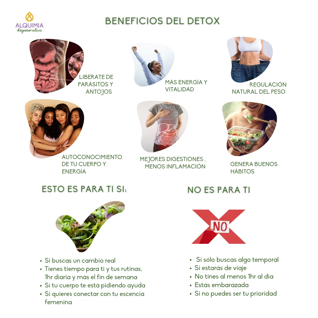 🌺 11/3 Detox 21 días: MUJER CÍCLICA - Imagen 3