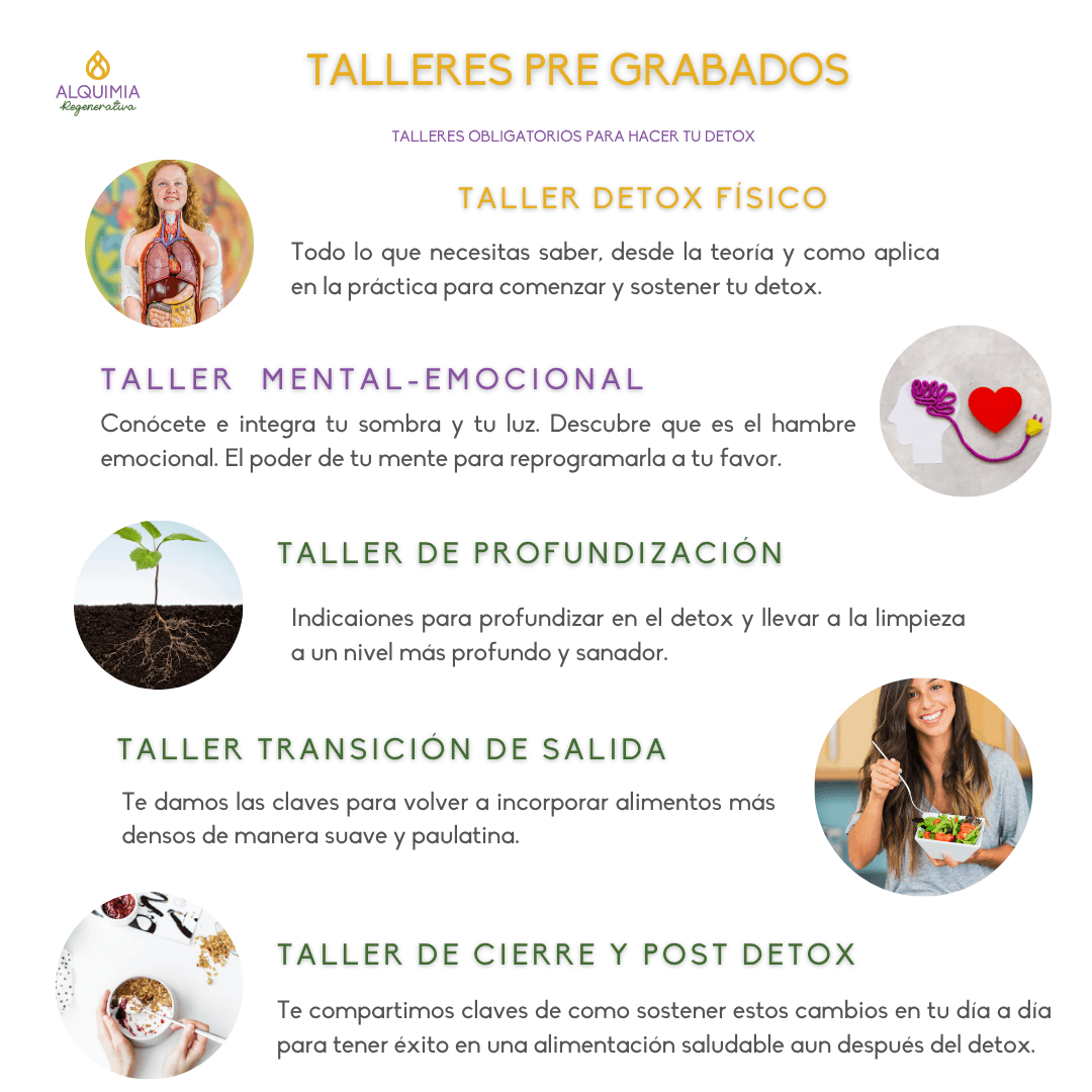 1/7 Detox 21 días Regula tu Sistema Nervioso y Activa tu Sanación - Imagen 10