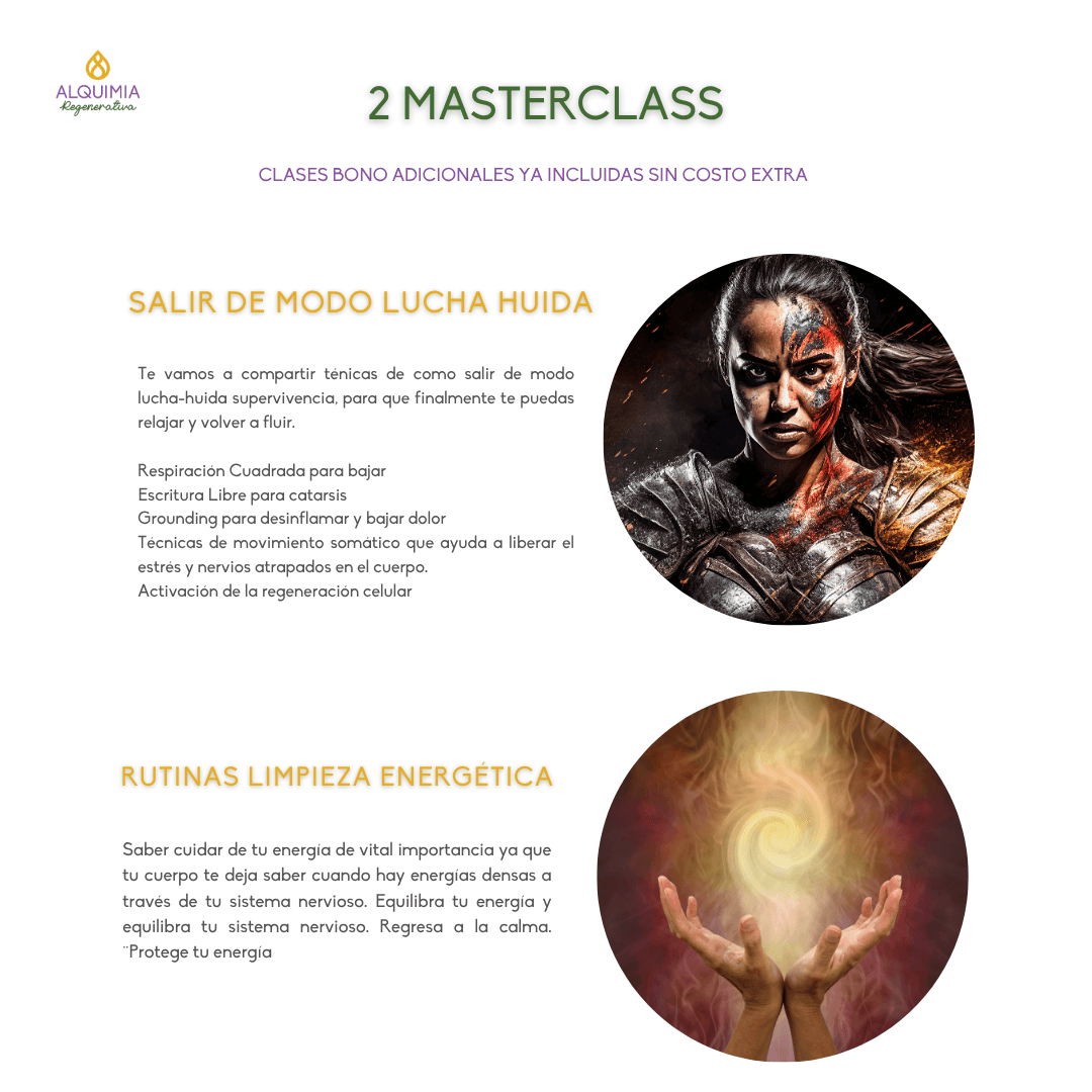 1/7 Detox 21 días Regula tu Sistema Nervioso y Activa tu Sanación - Imagen 11