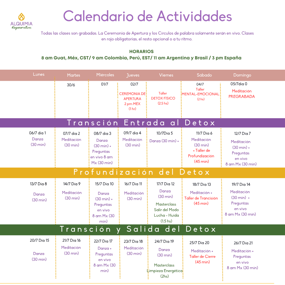 1/7 Detox 21 días Regula tu Sistema Nervioso y Activa tu Sanación - Imagen 12