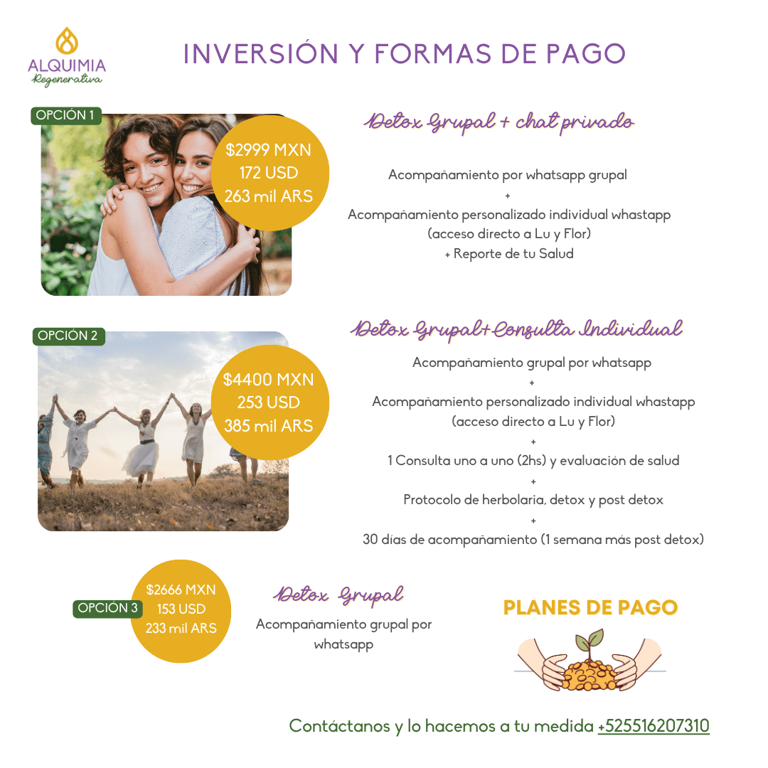 1/7 Detox 21 días Regula tu Sistema Nervioso y Activa tu Sanación - Imagen 13