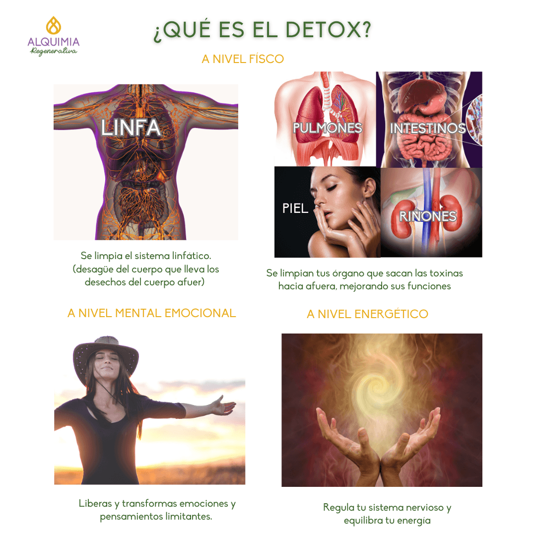 1/7 Detox 21 días Regula tu Sistema Nervioso y Activa tu Sanación - Imagen 2