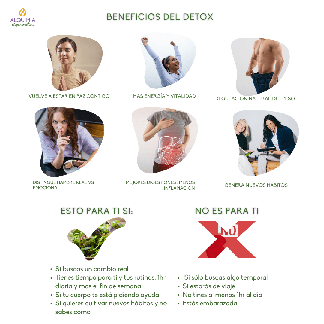 1/7 Detox 21 días Regula tu Sistema Nervioso y Activa tu Sanación - Imagen 3