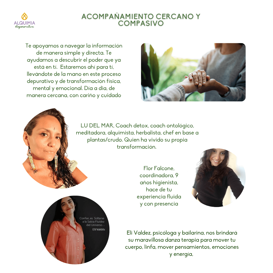 1/7 Detox 21 días Regula tu Sistema Nervioso y Activa tu Sanación - Imagen 5