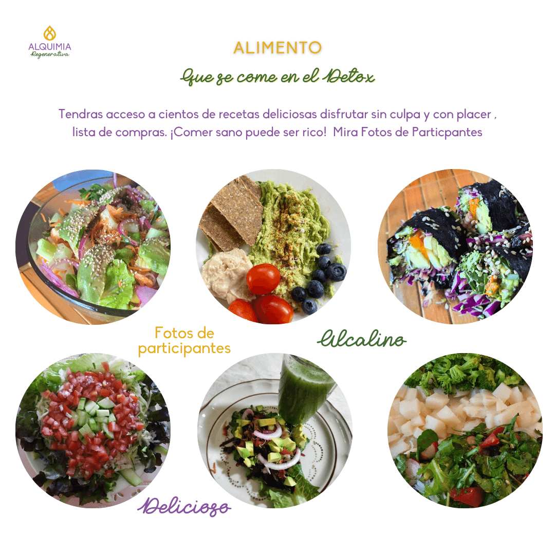 1/7 Detox 21 días Regula tu Sistema Nervioso y Activa tu Sanación - Imagen 6