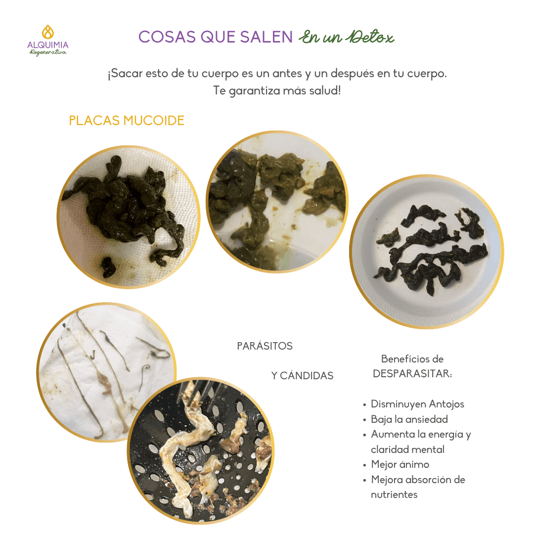 1/7 Detox 21 días Regula tu Sistema Nervioso y Activa tu Sanación - Imagen 8