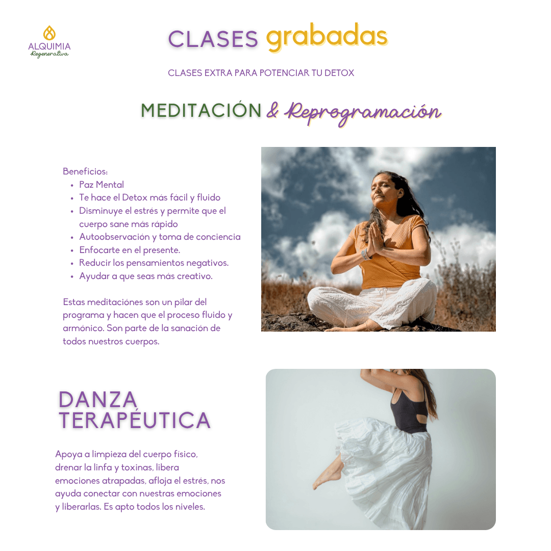1/7 Detox 21 días Regula tu Sistema Nervioso y Activa tu Sanación - Imagen 9
