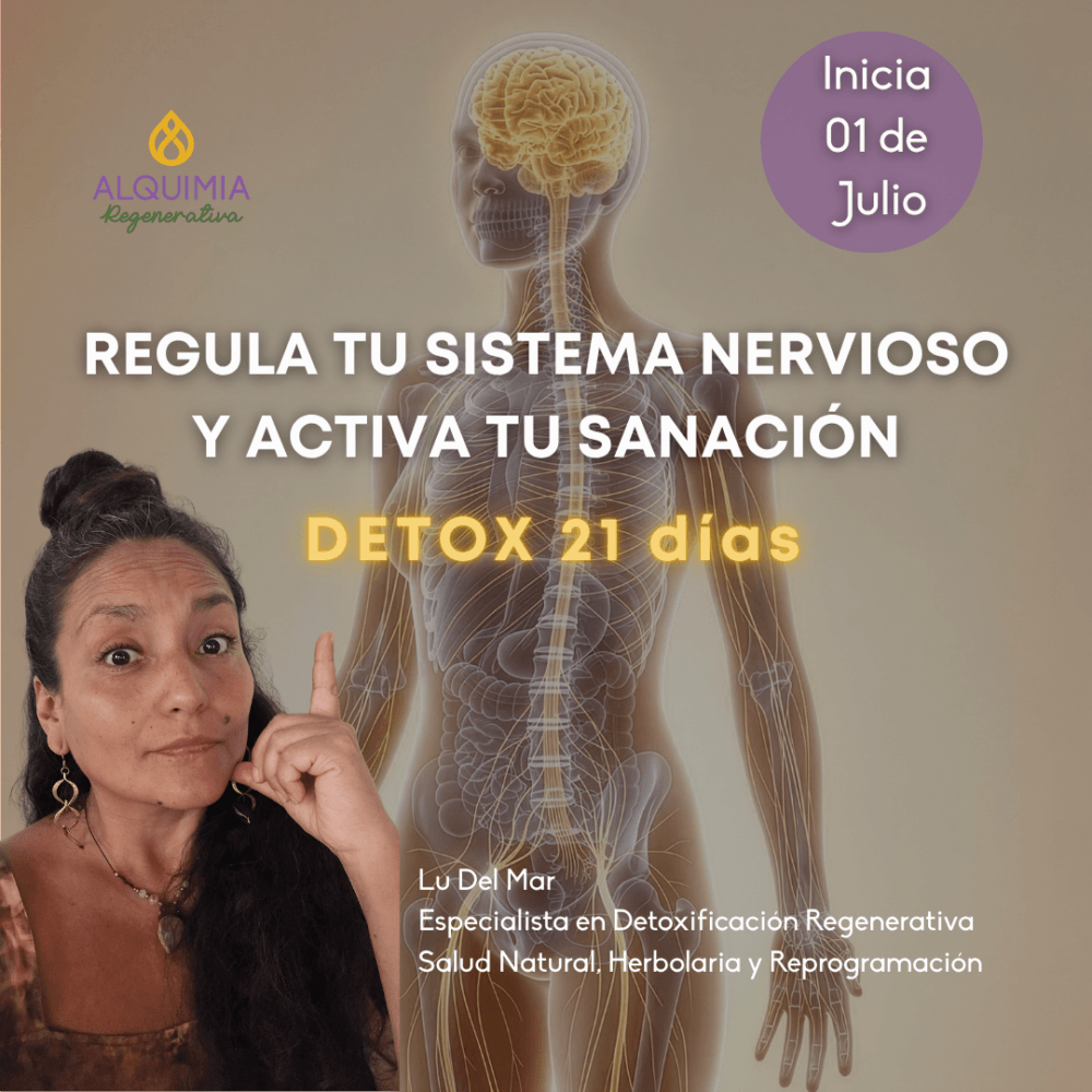 1/7 Detox 21 días Regula tu Sistema Nervioso y Activa tu Sanación