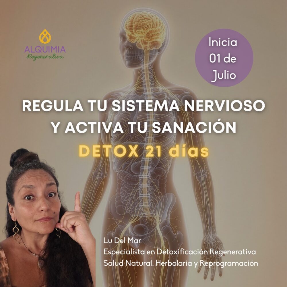 Detox 1/7 Regula tu sistema nervioso y activa tu sanación